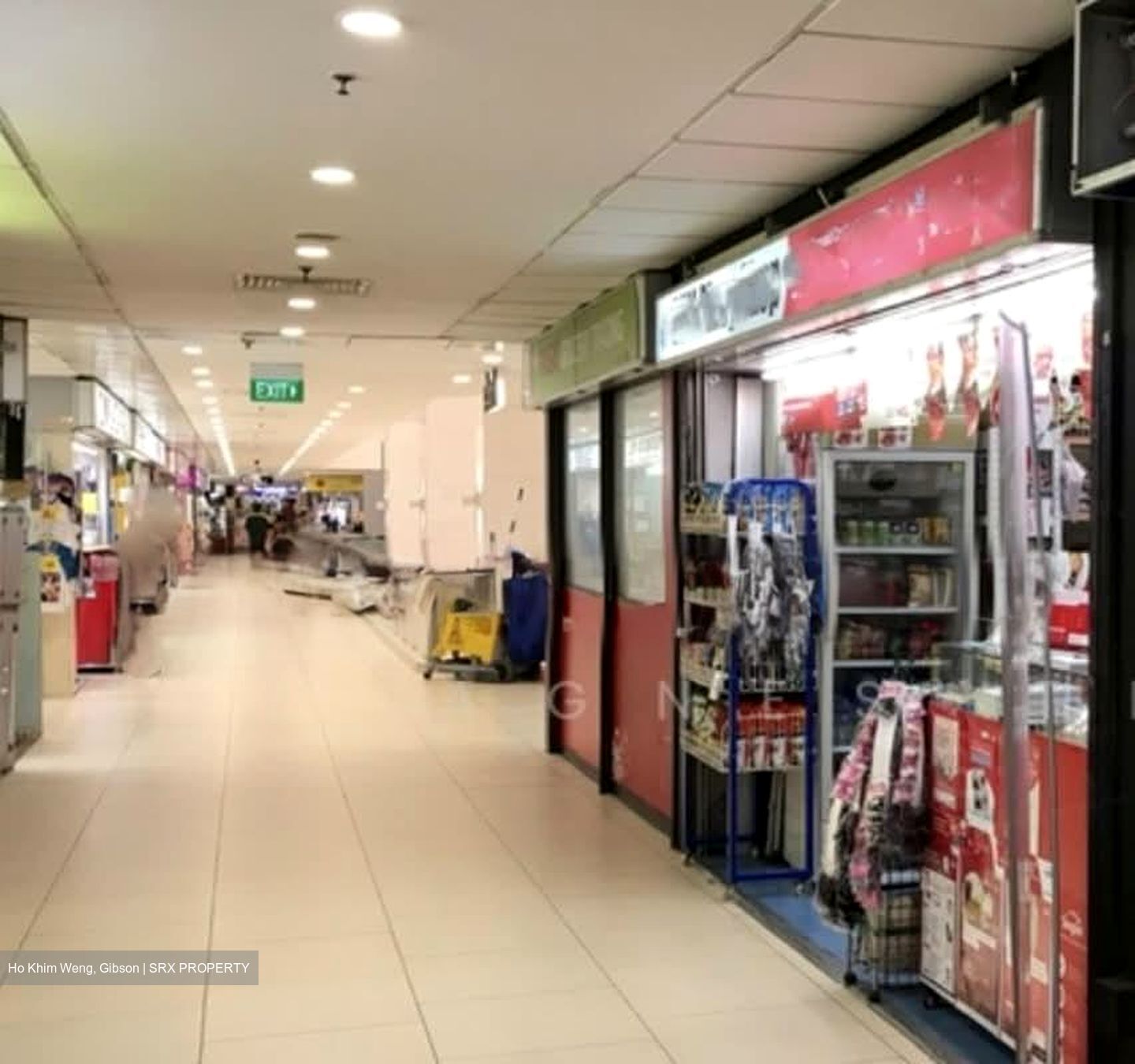 Lucky Plaza (D9), Shop House #545124981
